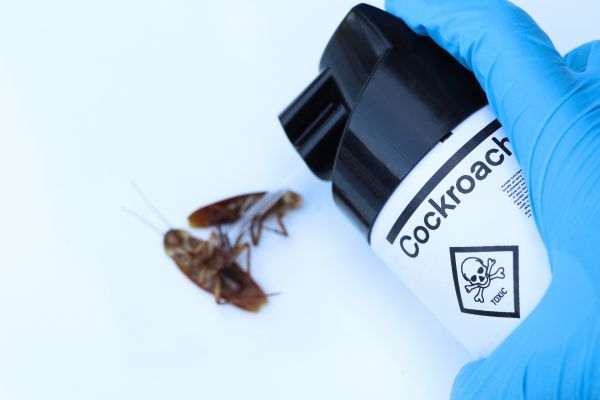 Cockroach Control Service