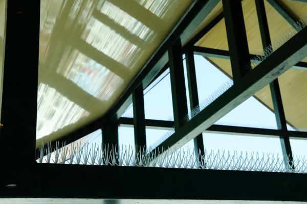 Seagull Spike Installation