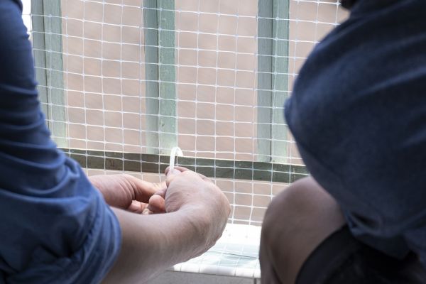 Pigeon Netting Installation