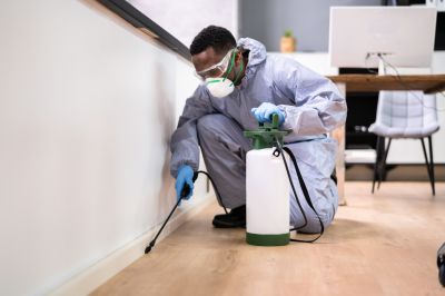 How General Pest Control Protects Property And Health